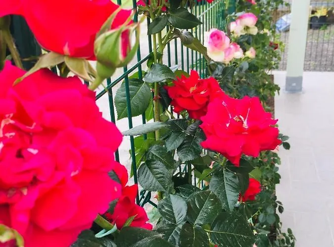 Апартаменты Casa Alba