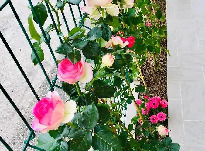 Casa Alba Апартаменты Лукка