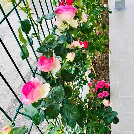 Casa Alba Daire Lucca